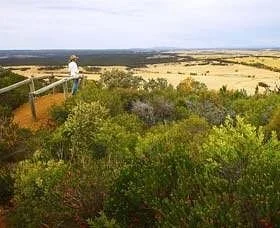 Arthur Drive Scenic Lookout