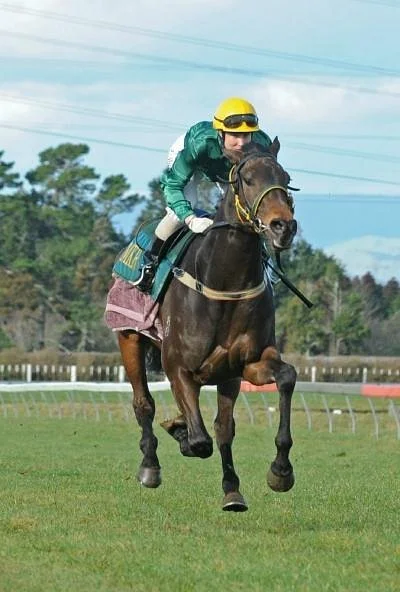 Te Kapua Racecourse