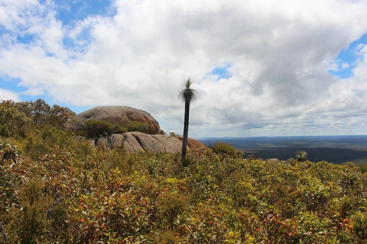 Mount Lindesay Walk Trail