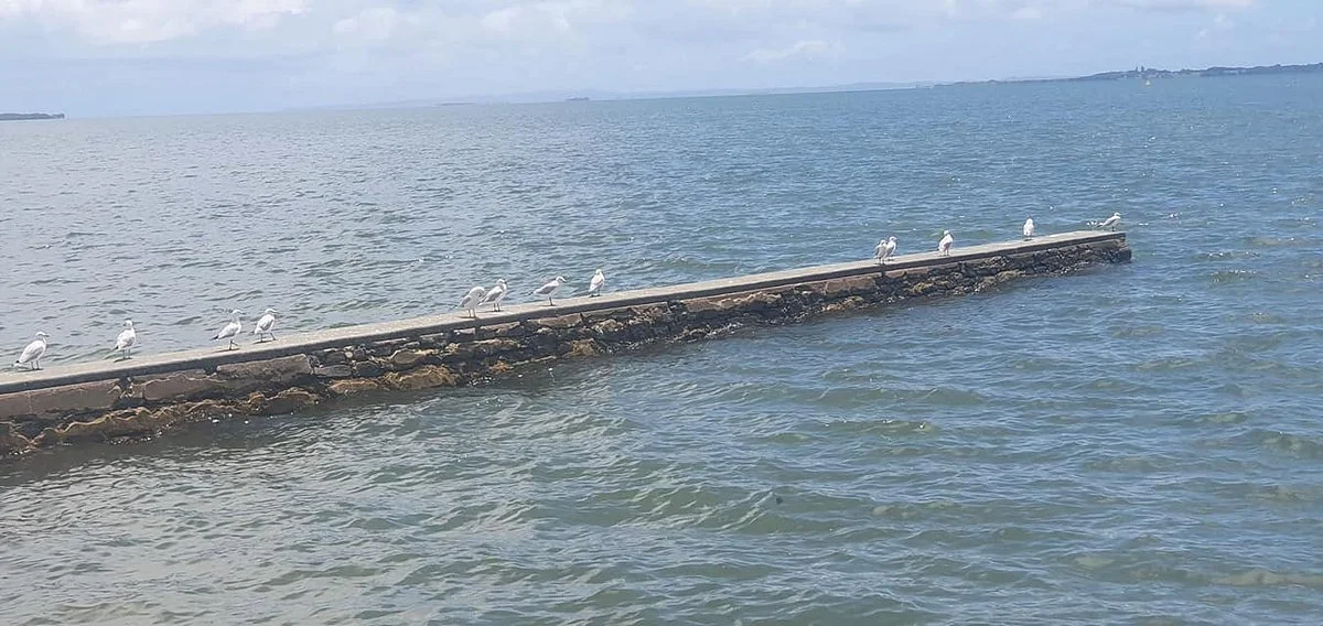 Breakwater Park
