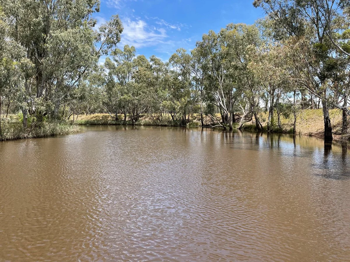 Charlton Weir