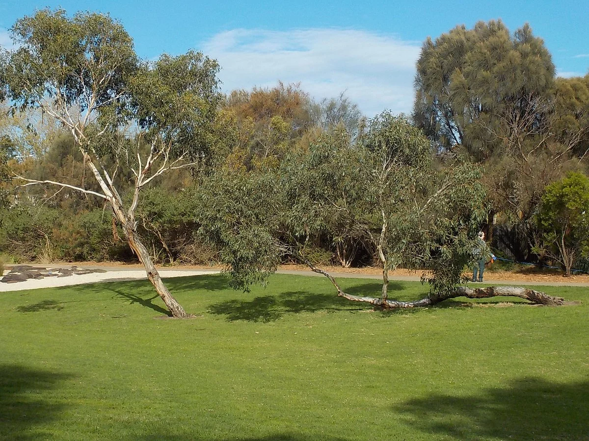 Mallanbool Reserve