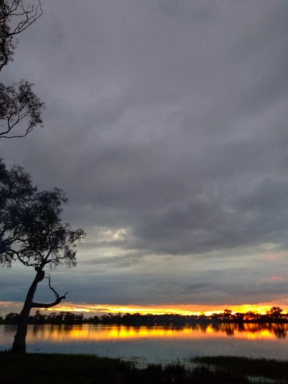 Cockatoo Lake Recreation Reserve
