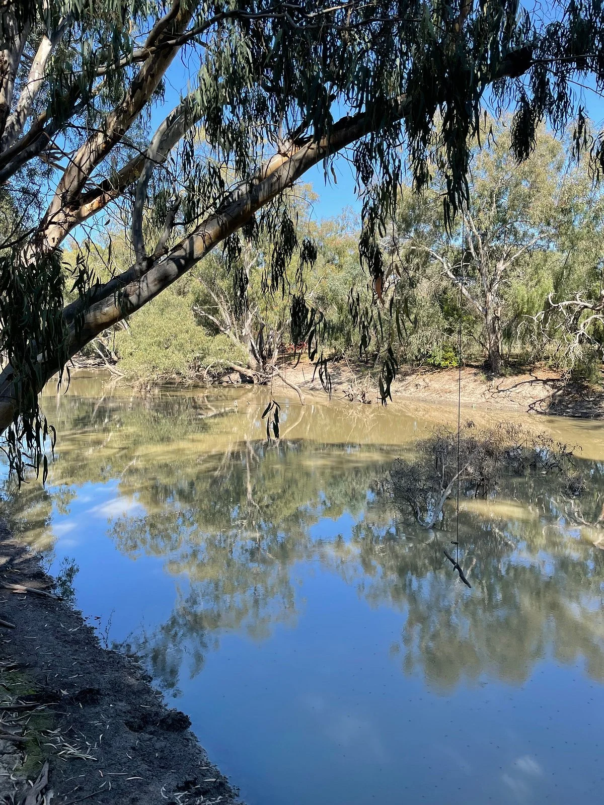 Horgans Walk
