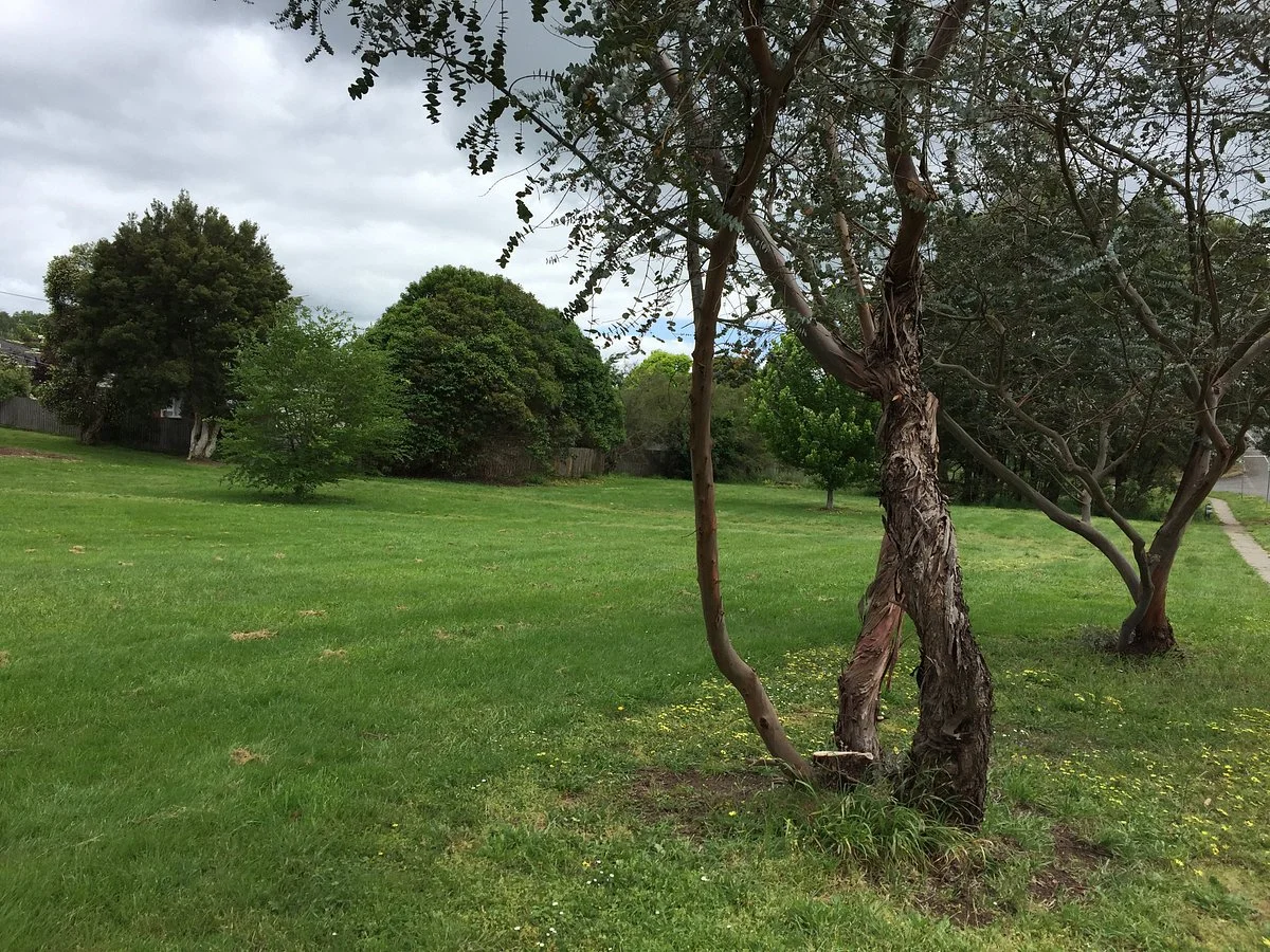 Boronia Street Park