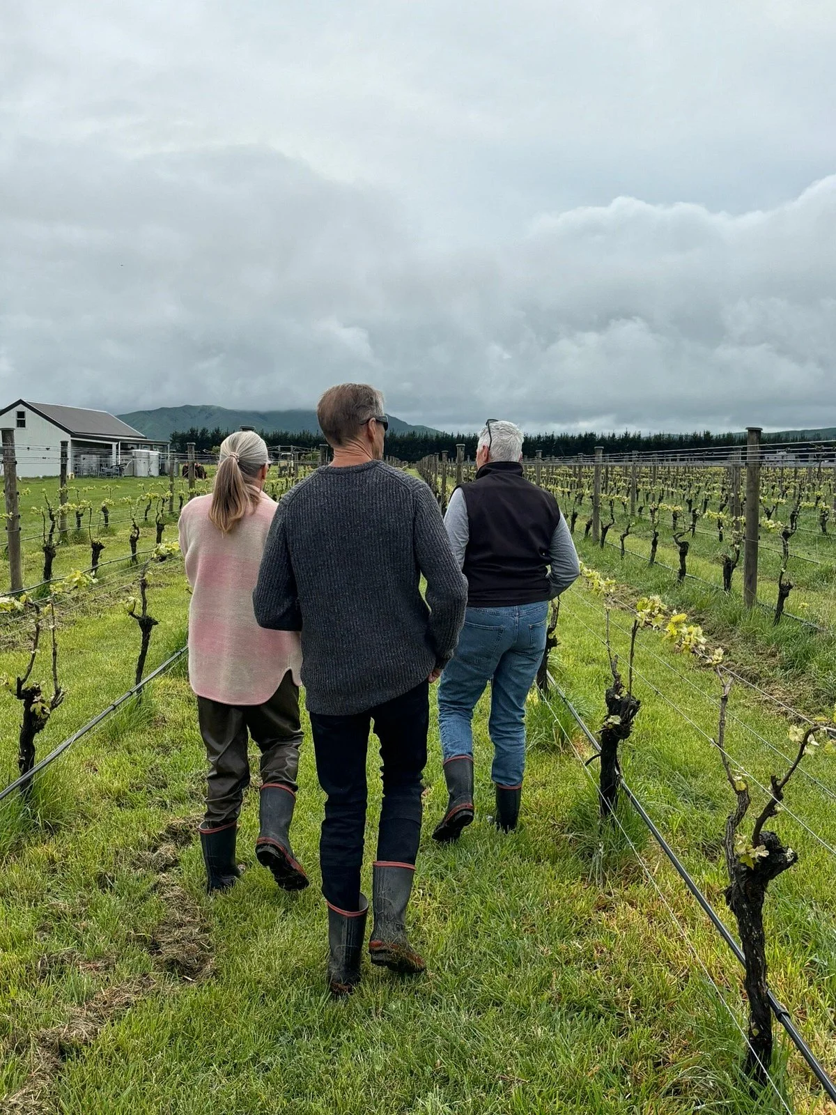 Big Sky Wines
