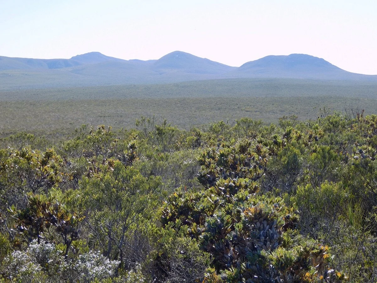 Sepulcralis Hill Lookout