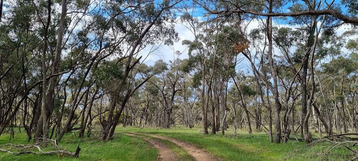 Jilpanger Nature Conservation Reserve