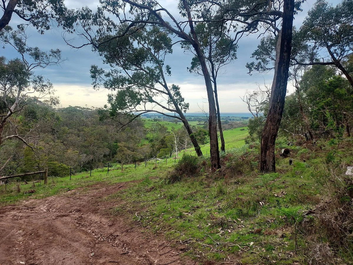 Sawpit Campground