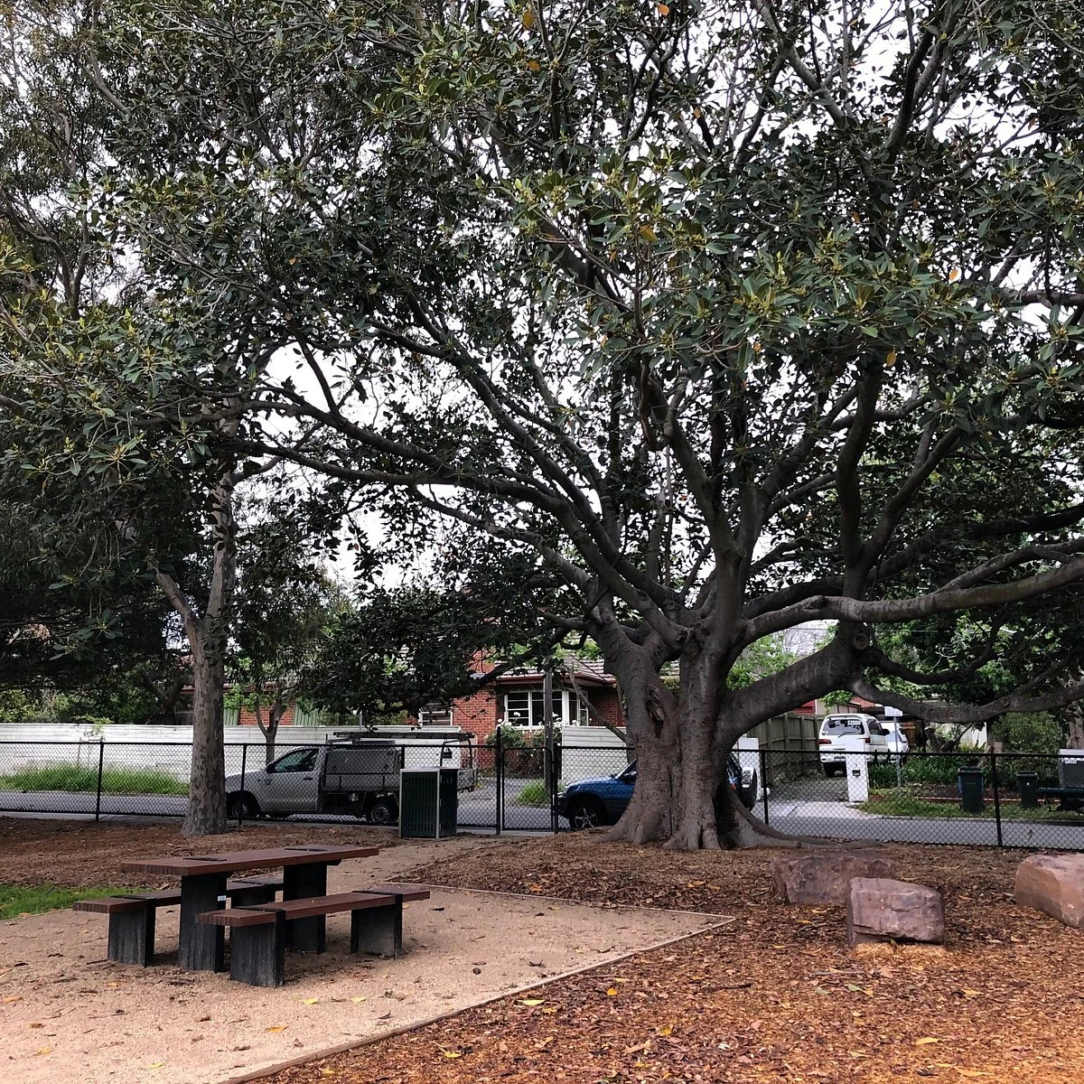 Waverley Oval
