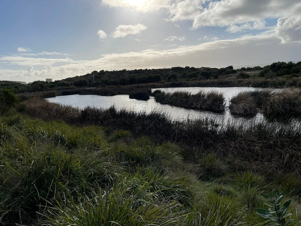 Victorian Desal Plant Ecological Reserve