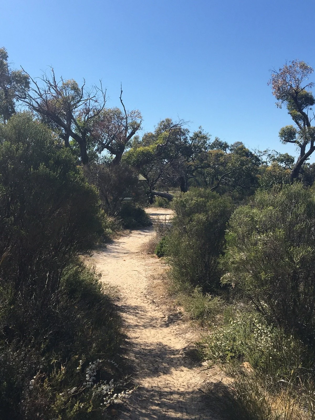 Stringybark Walk