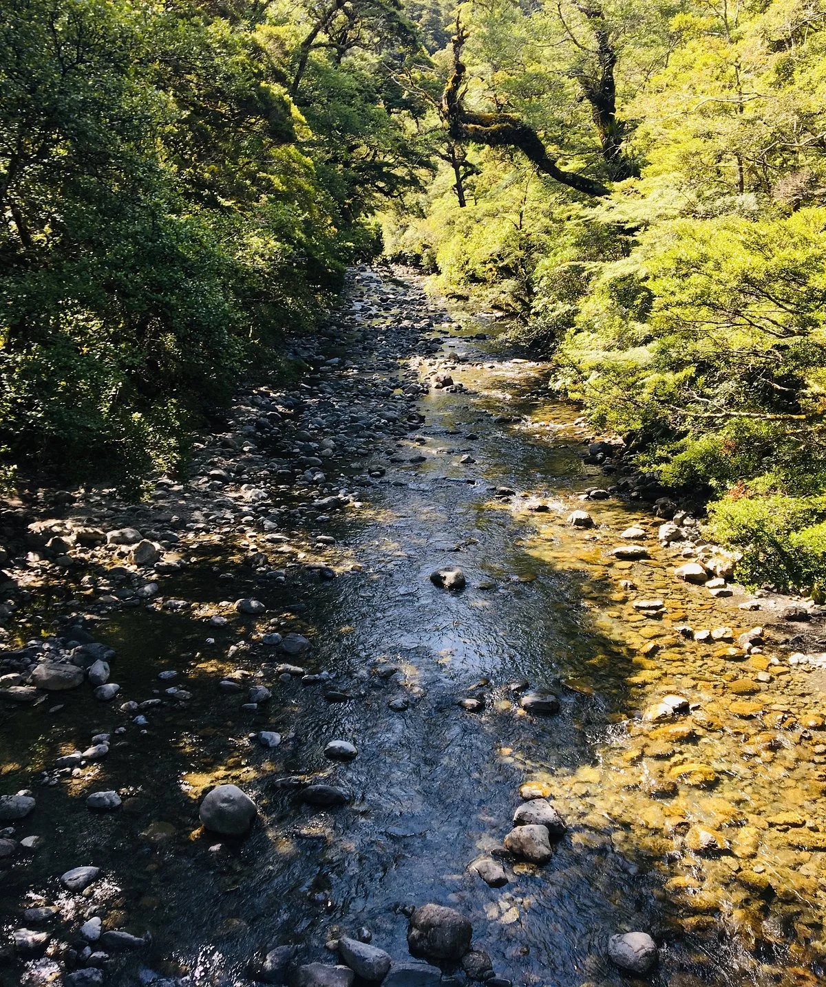 Donnelly Flat Loop Walk