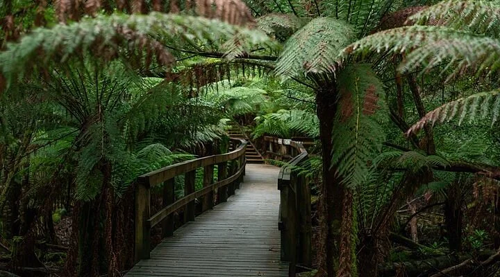 Tinderbox Hill Trail