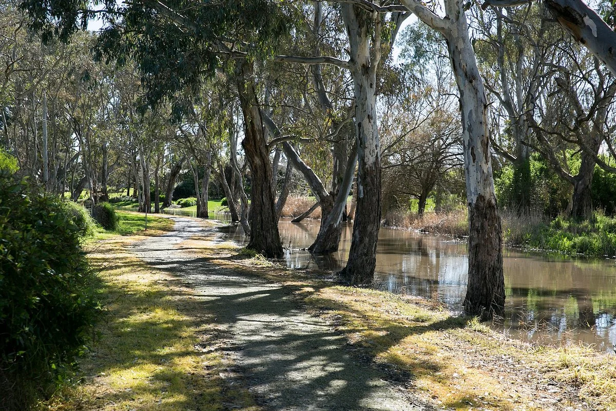 Naracoorte Creek walk