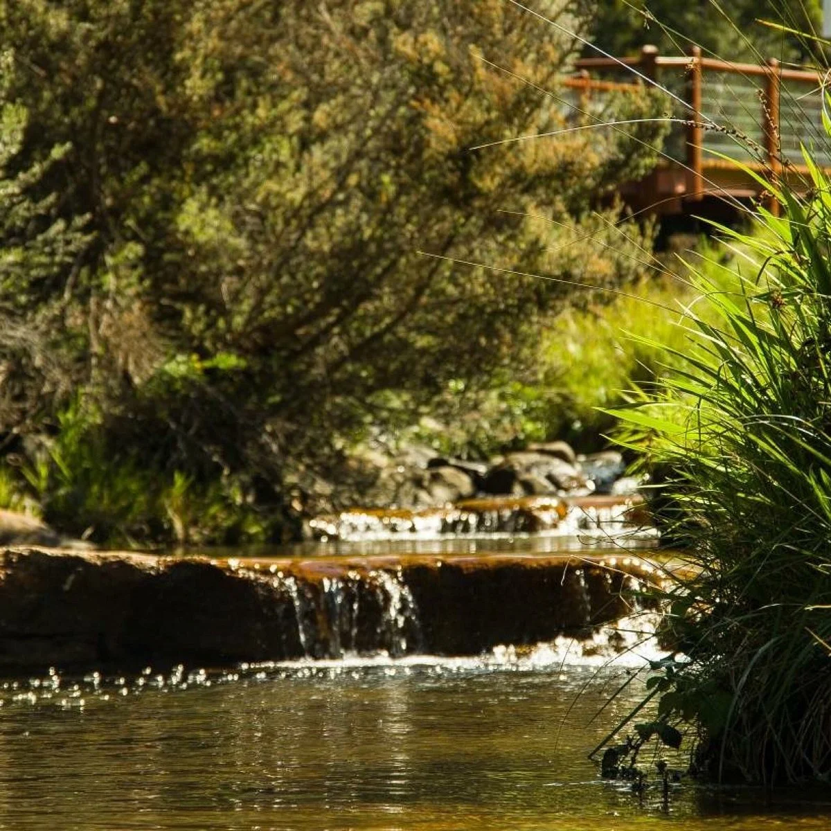 New Town Rivulet Park