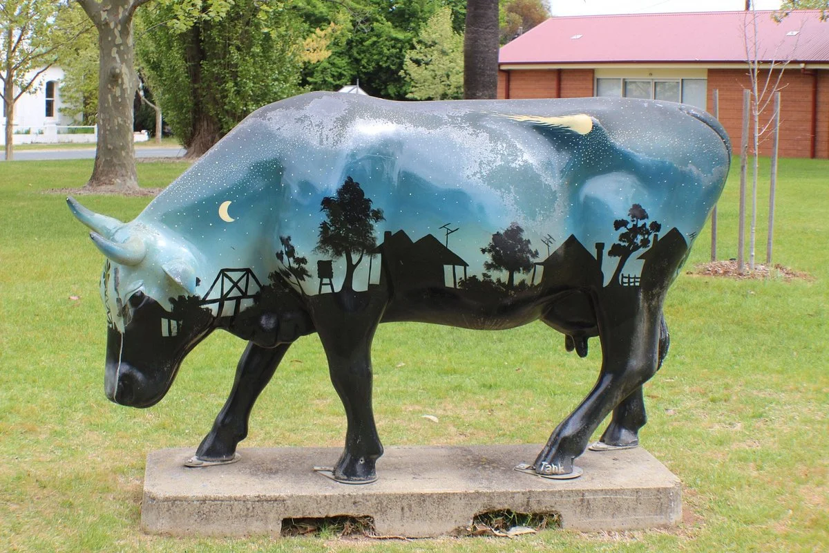 Meteorite Park