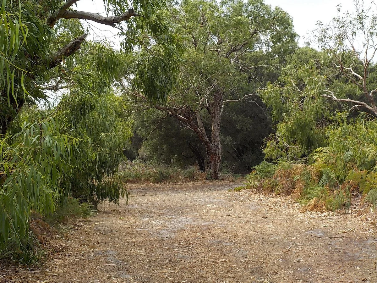 Belvedere Reserve
