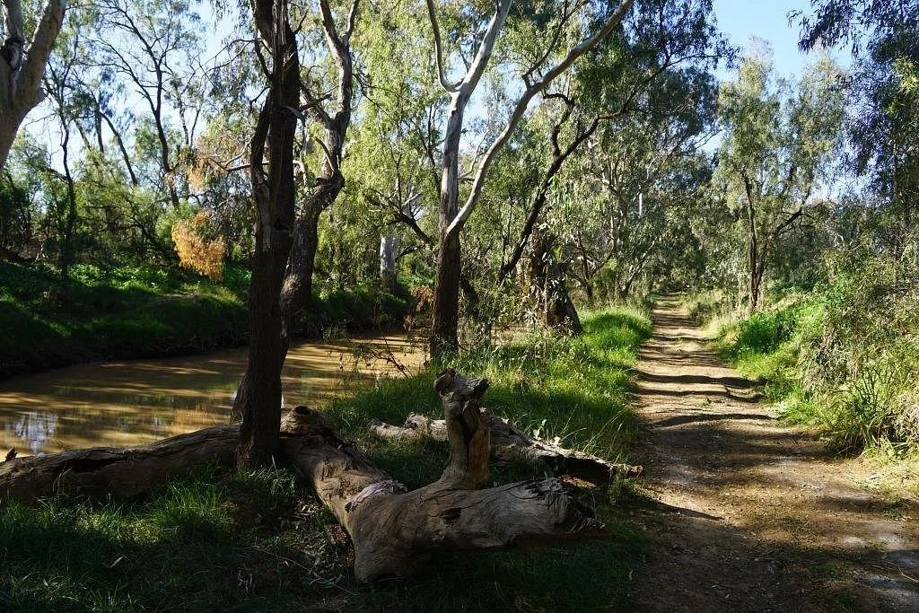 Gulargambone River Walk