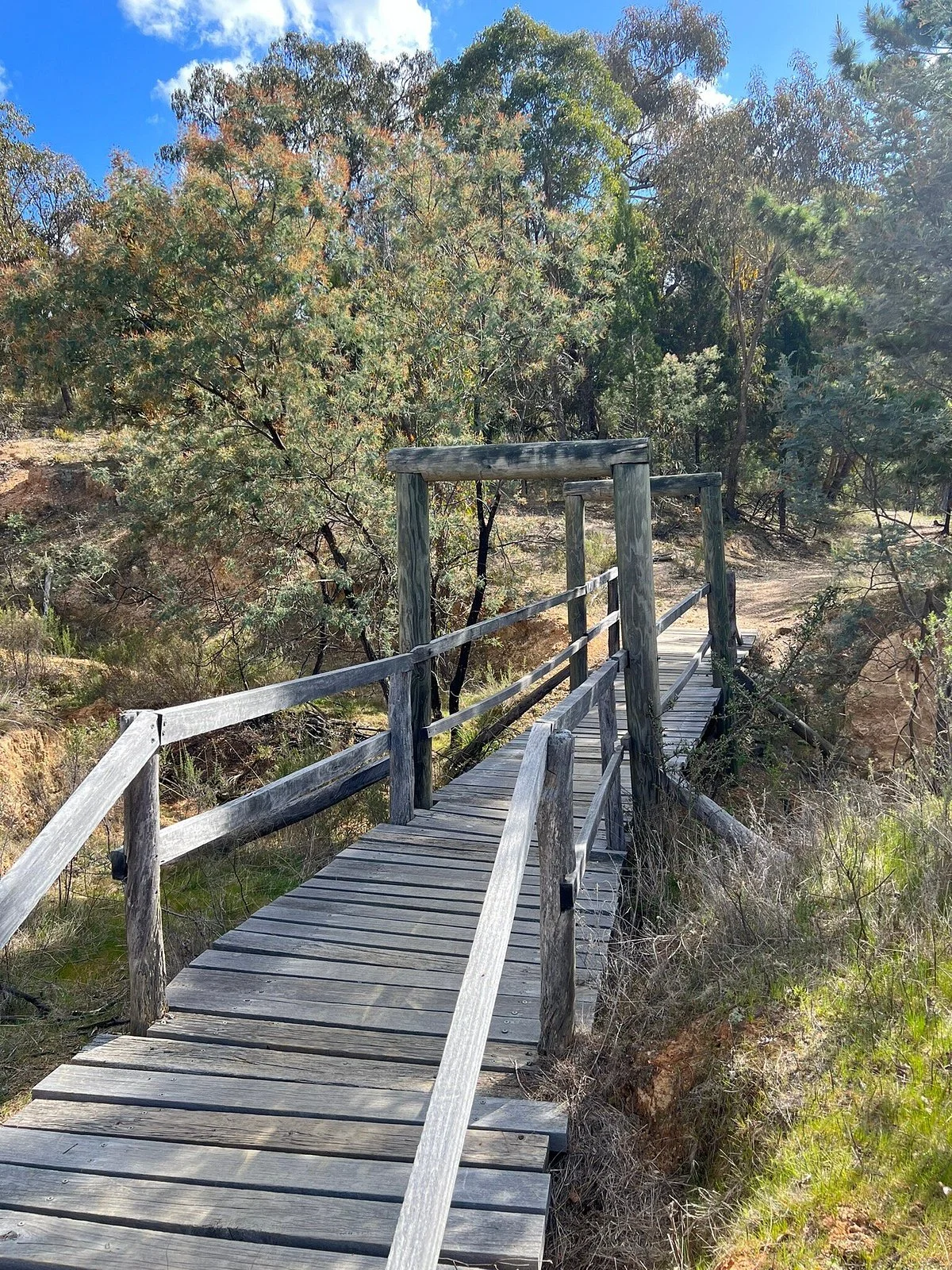Bald Hill walking track
