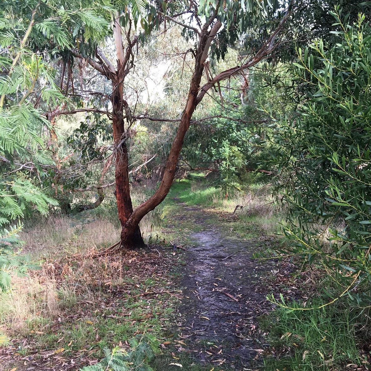 Tank Hill Reserve
