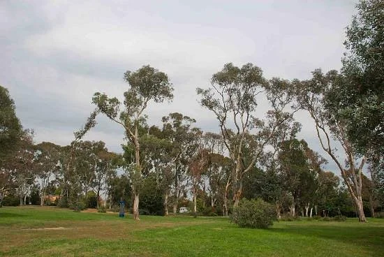 Corroboree Park