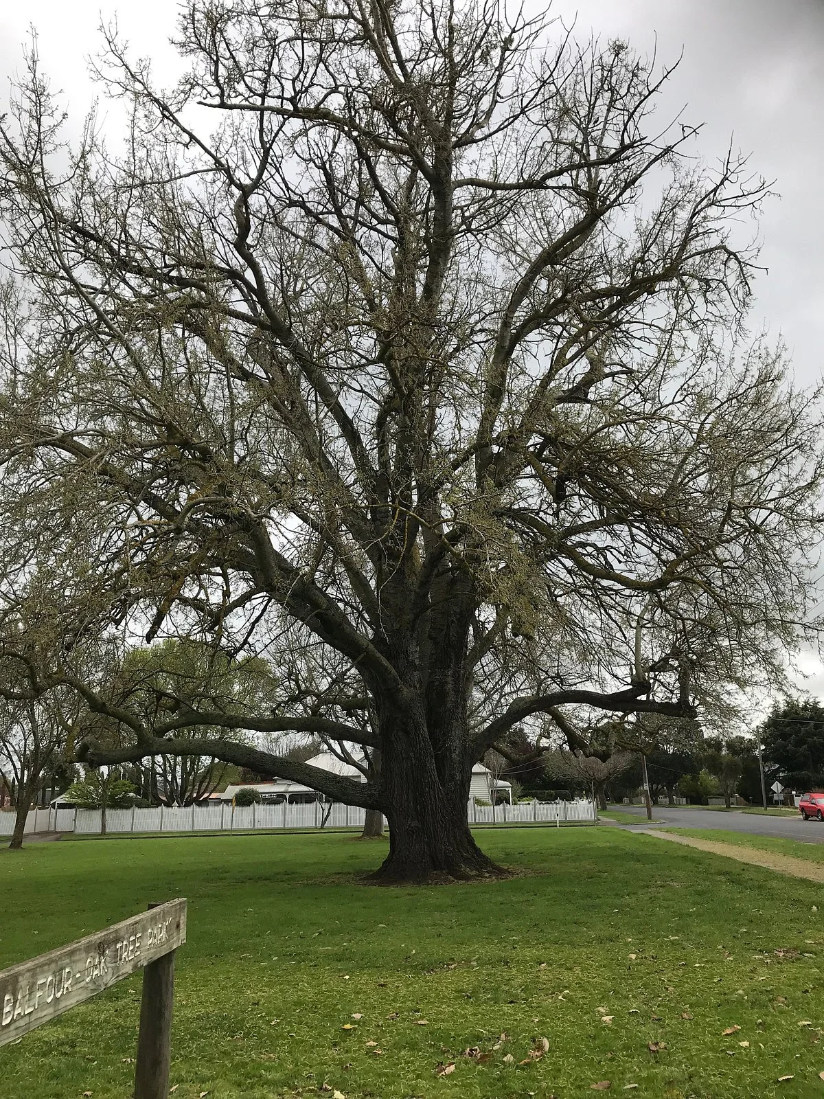 James Balfour Park