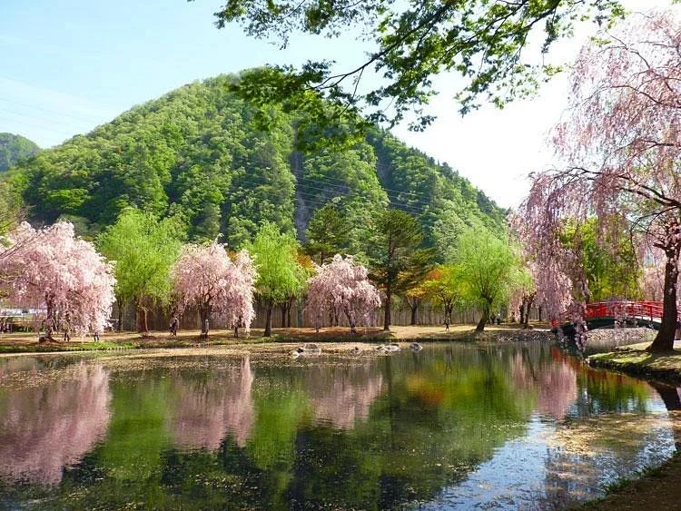 Yuzawa Central Park