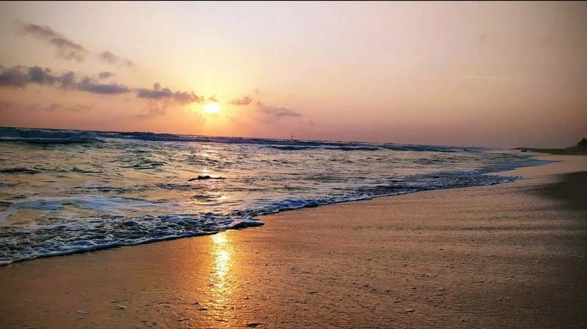 Nhat Le Beach