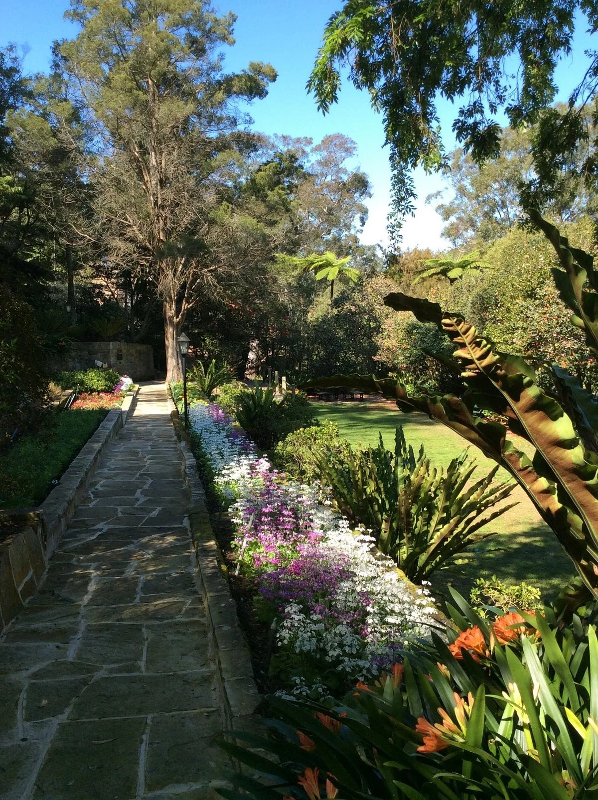 Lisgar Gardens - Hornsby