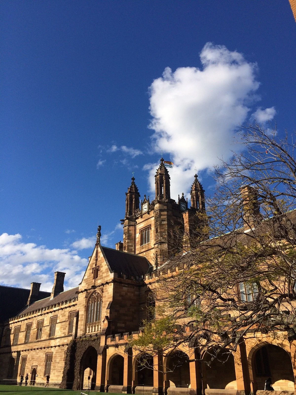 Nicholson Museum