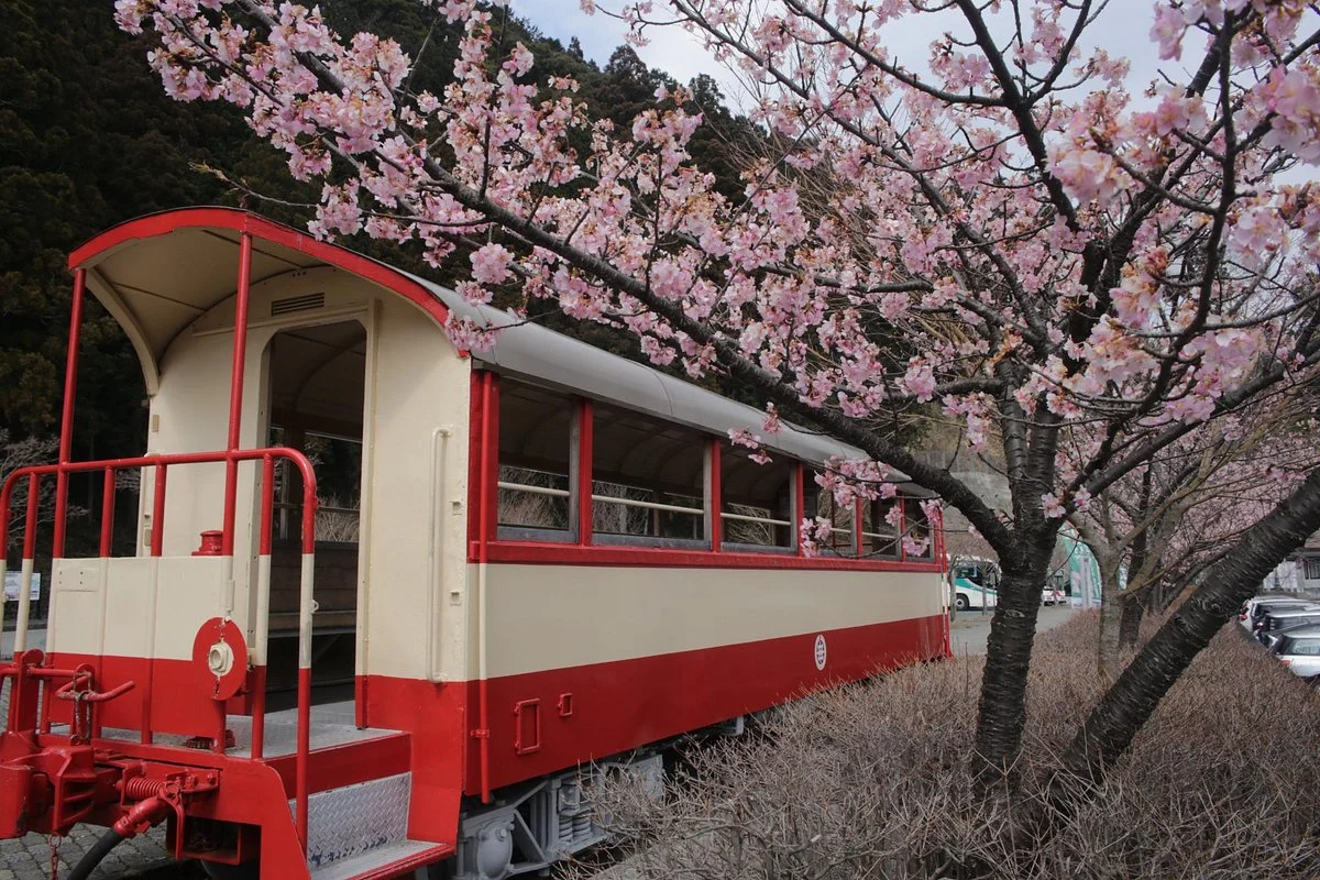 Michi-no-EKi Otoginosato