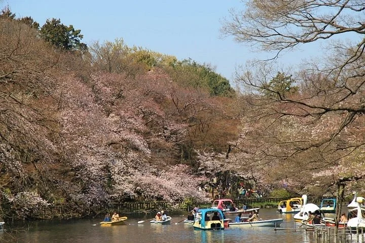 Kichijoji