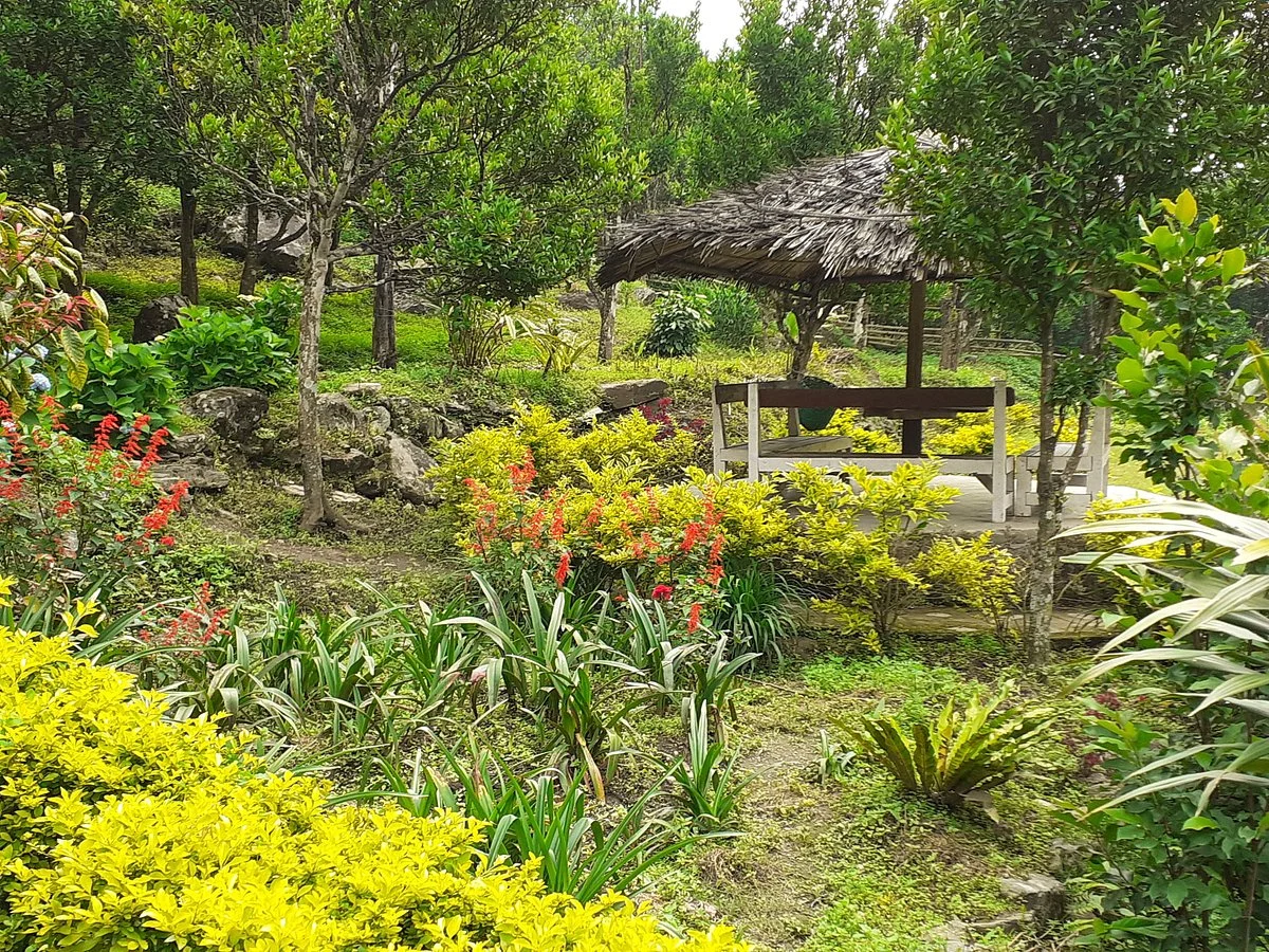 River Orange Garden