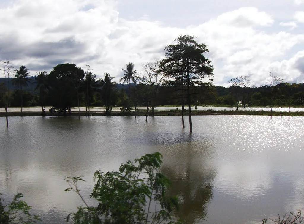 Agusan Marsh Wildlife Sanctuary