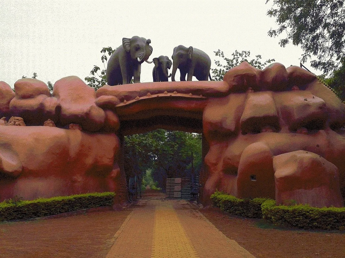 Chandaka-Dampada Wildlife Sanctuary
