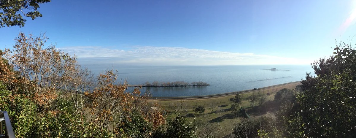Ayumi Observation Deck