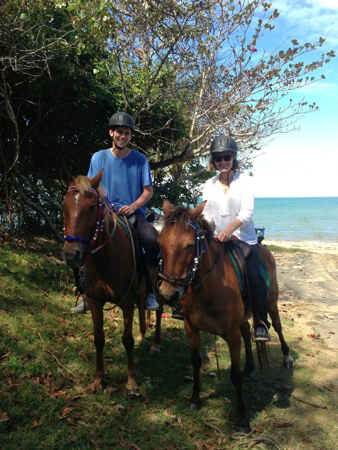 Kurrimine Beach Horse Rides