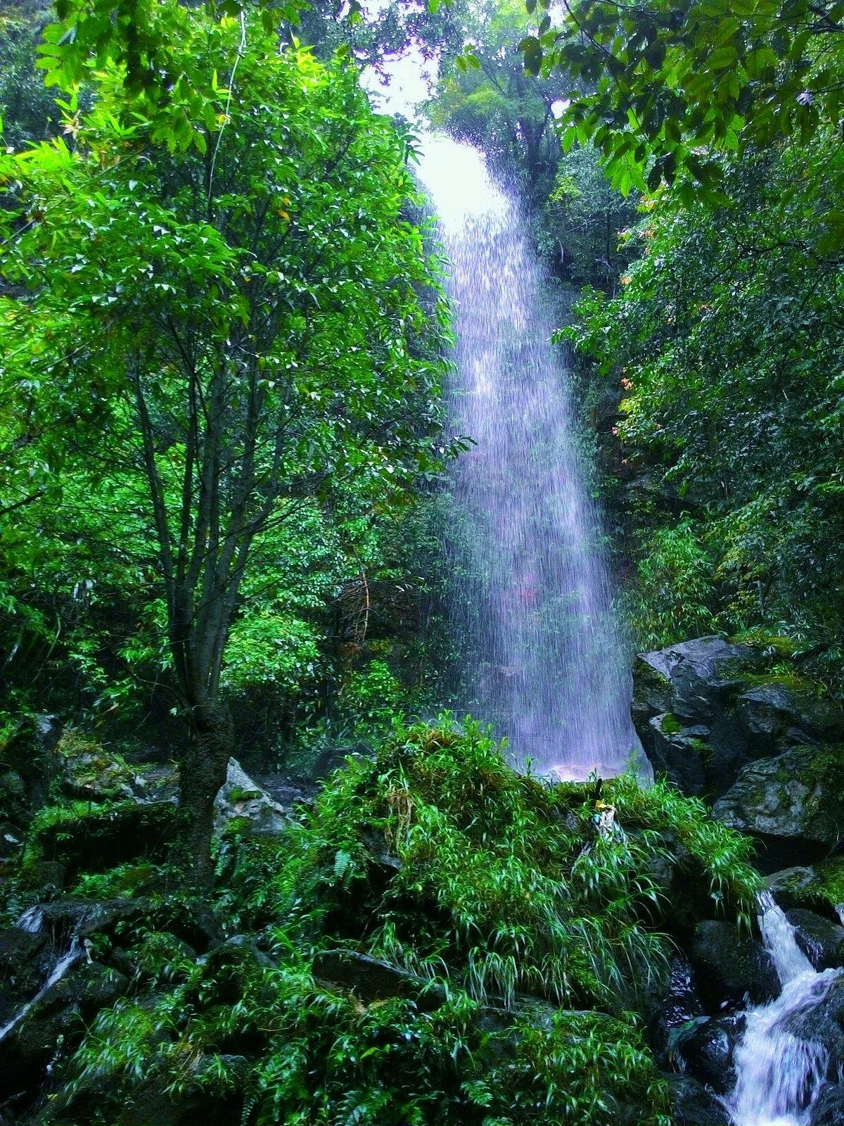 Mawlynnong Waterfall