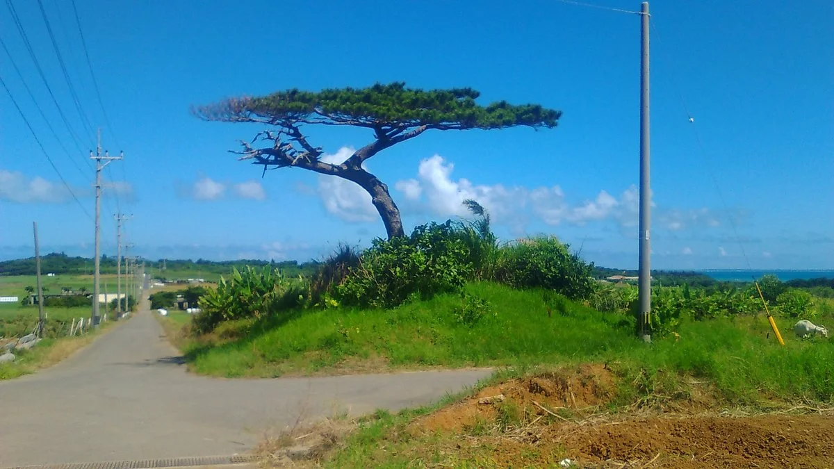 Sugar Road