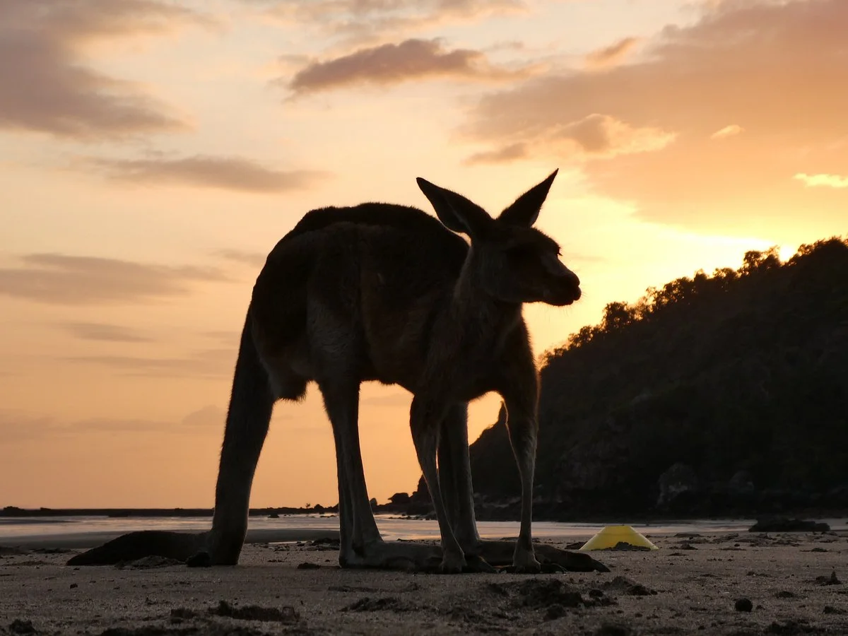 Mackay Region Visitor Information Centre Tours