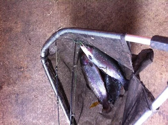 Tuki Trout Farm
