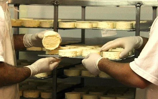 Hunter Valley Cheese Factory