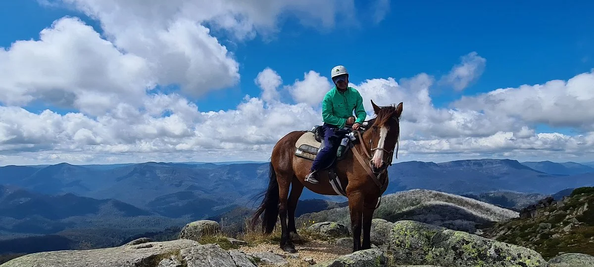 McCormack's Mountain Valley Trail Rides- Day Tours