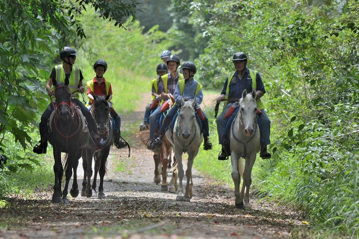 Mary Valley Adventure Trails - Day Tours
