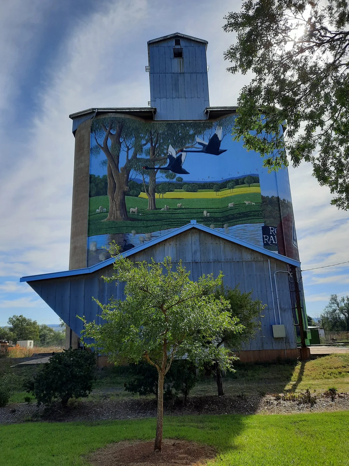 Silo Art Dunedoo