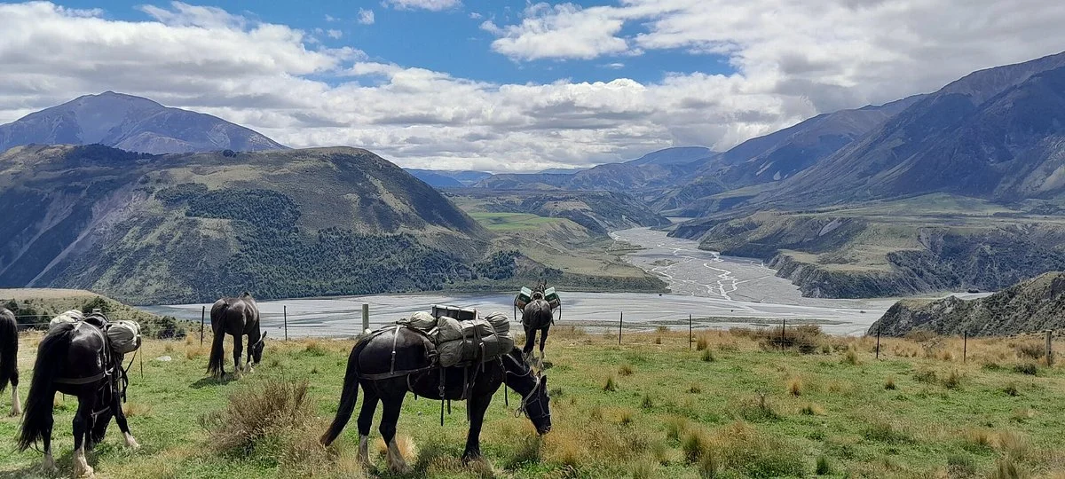Alpine Horse Safaris