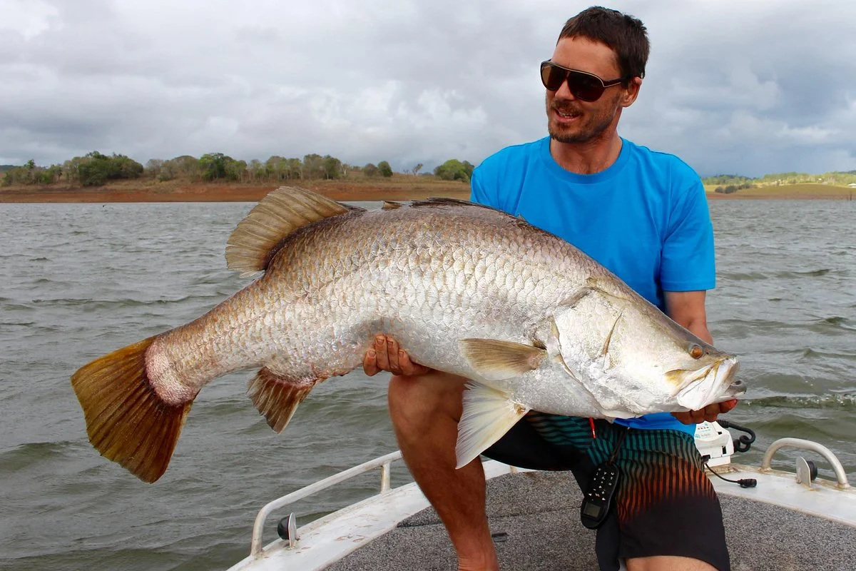Tropical Sportfisher