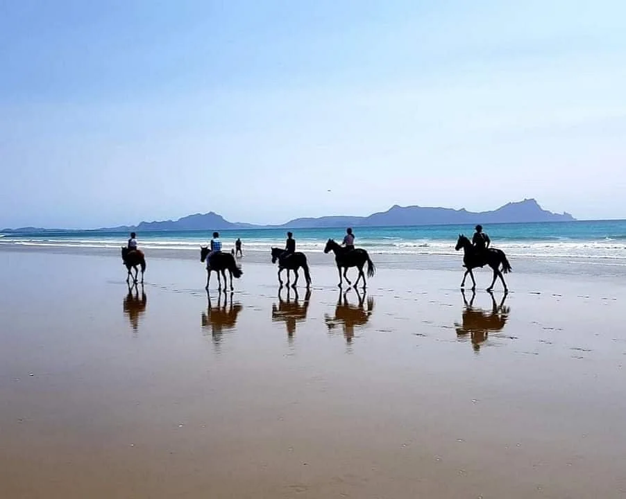 Tuidale Stables