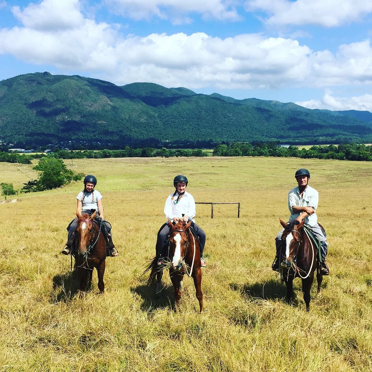 Reinsdown Horse Riding